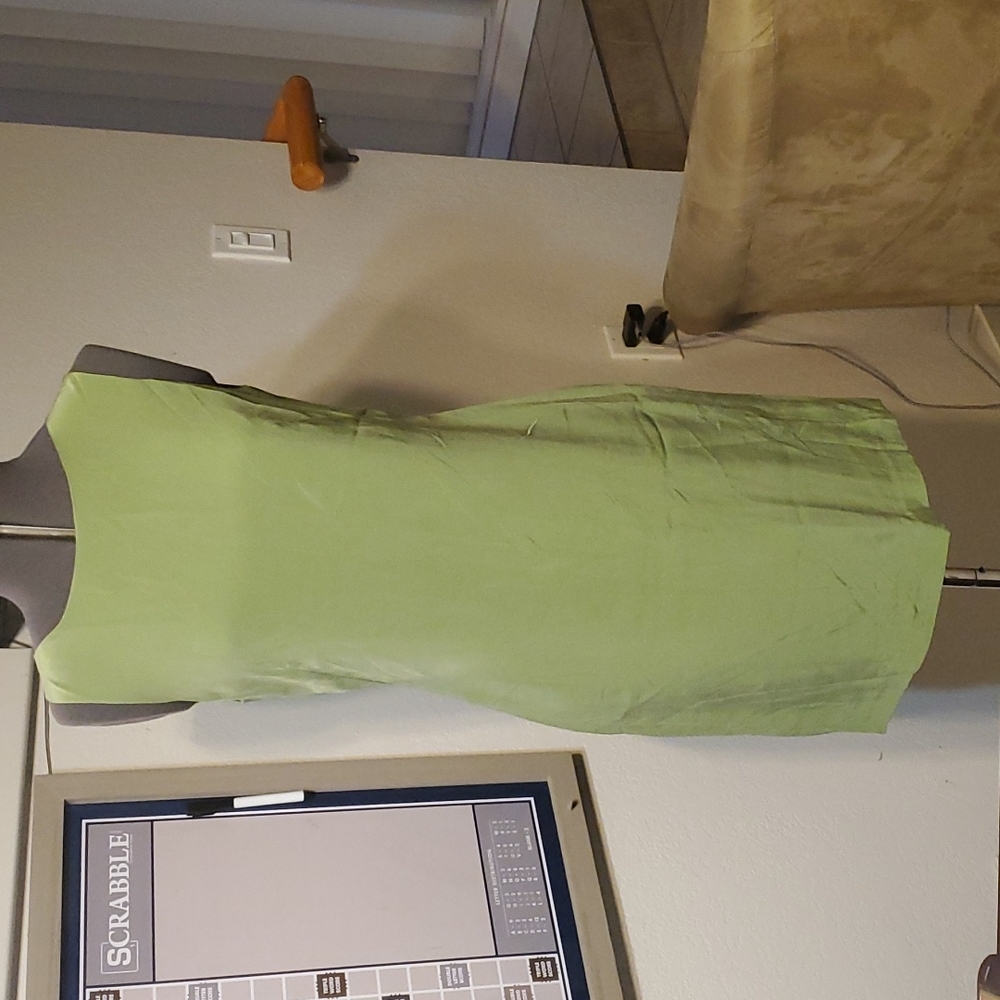 NWOT Light Moss Green Sleeveless Sheath, Sz 12